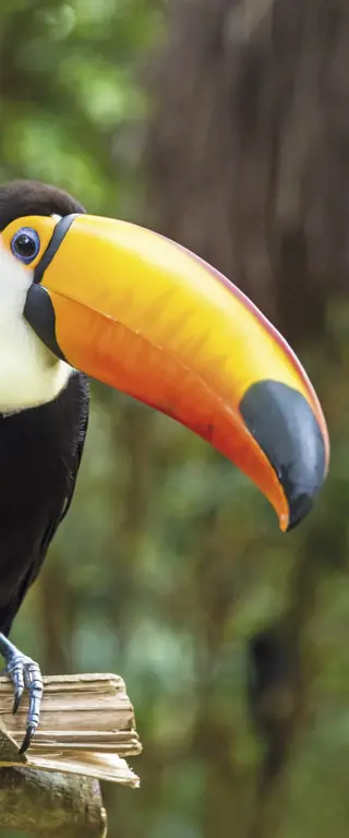 Brasilien Sehenswürdigkeiten und Geheimtipps